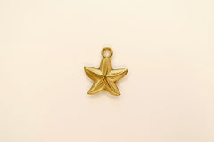 Starfish Charm