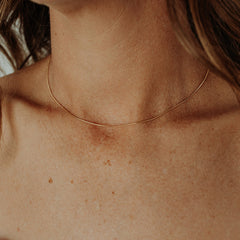 New York Chic Snake Chain Necklace