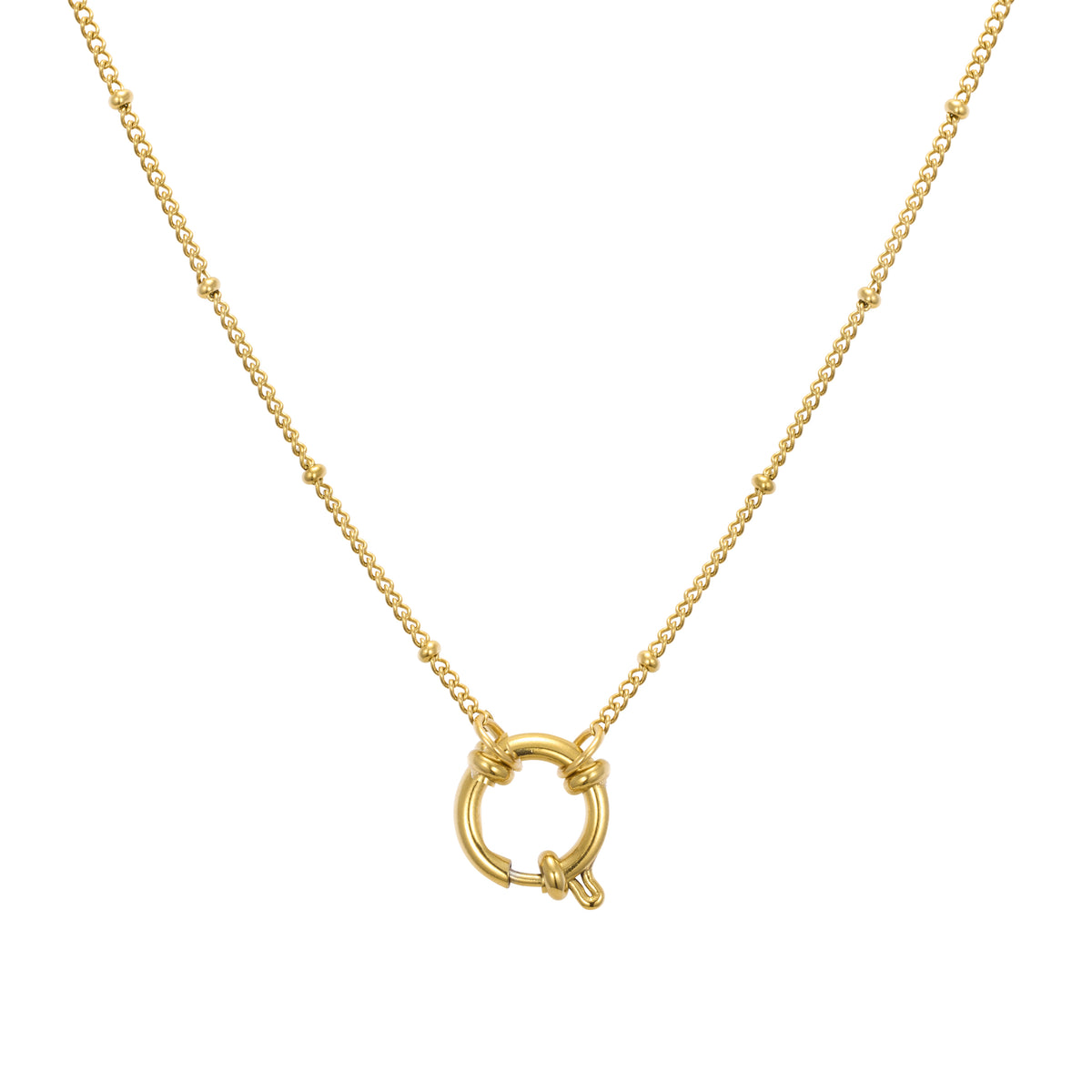 Amelia Carabiner Necklace