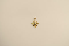 Diana Charm