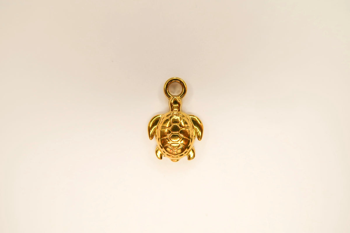 Turtle Charm